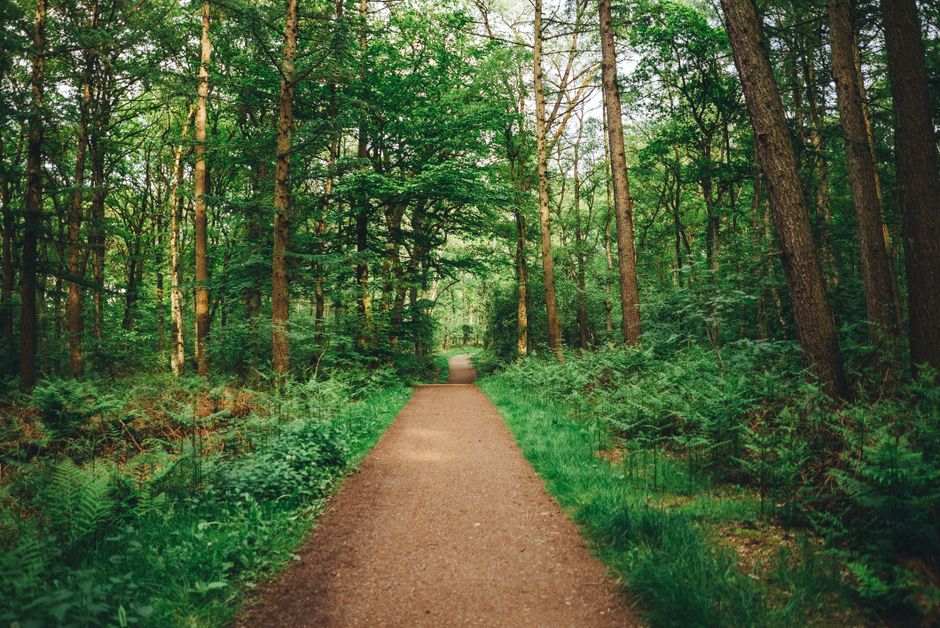 A Gentler Way to Approach Stress: Signal, Response And Recovery, Day by Day