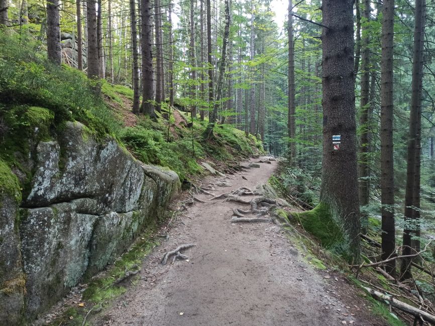 A Kinder Approach to Recovery, Rest Days And Overdoing It, One Step at a Time