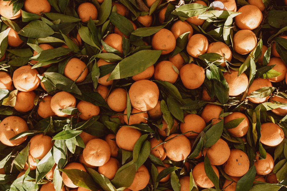 A Practical Take on Magnesium: Why So Many People Run Short, One Step at a Time