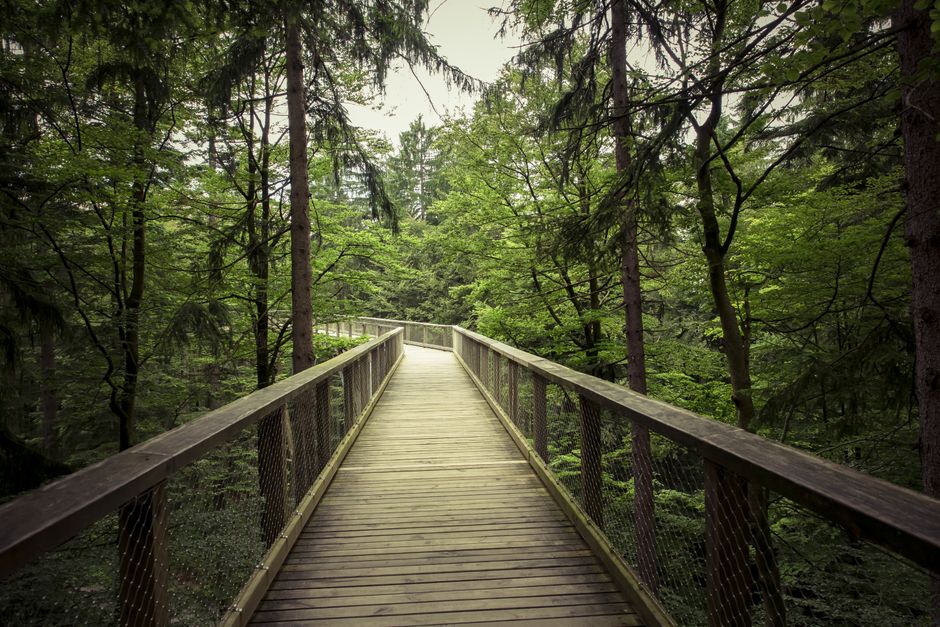 A Sensible Look at The Pleasure Principle In Healthy Living, Starting Today