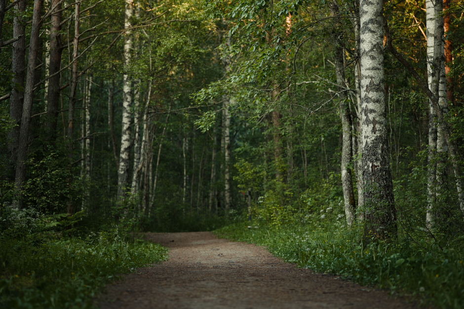 Building a Daily Routine Around The Pleasure Principle In Healthy Living, Without the Hype