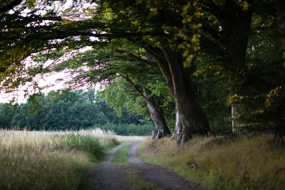 Building a Daily Routine Around Building Positive Daily Routines, Made Simple