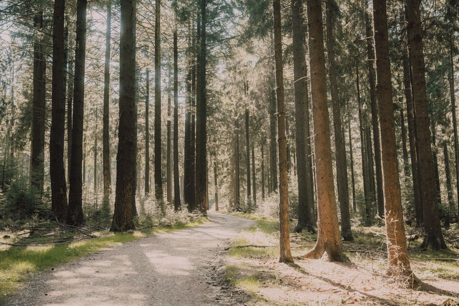 Coming Back to Mental Health Is Health, Without Overthinking It