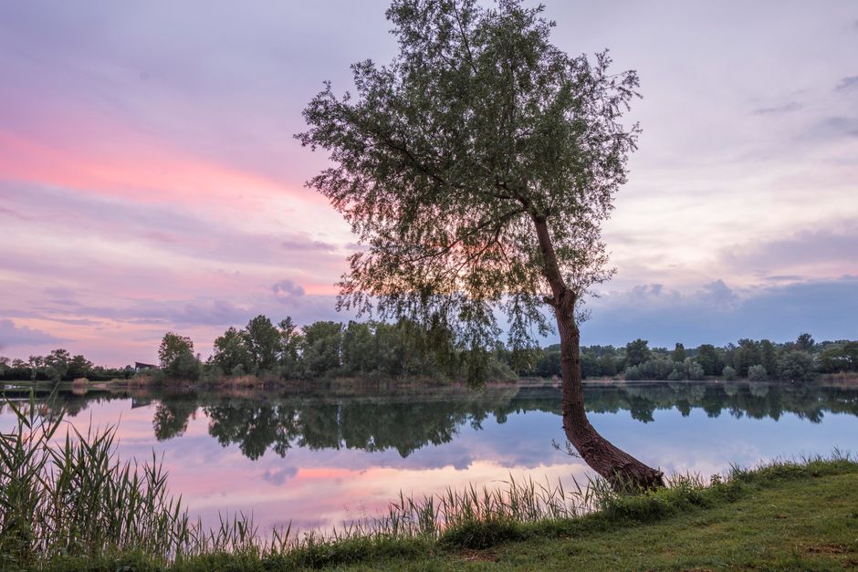 Creating Healthy Long-Term Habits as a Daily Habit, One Step at a Time