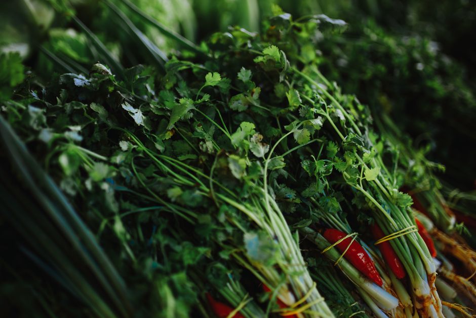 Holding On to Everyday Wellness Tips Over Time, Made Simple