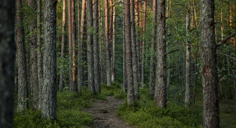 Health As A Daily Practice Without the Guesswork, Explained Simply