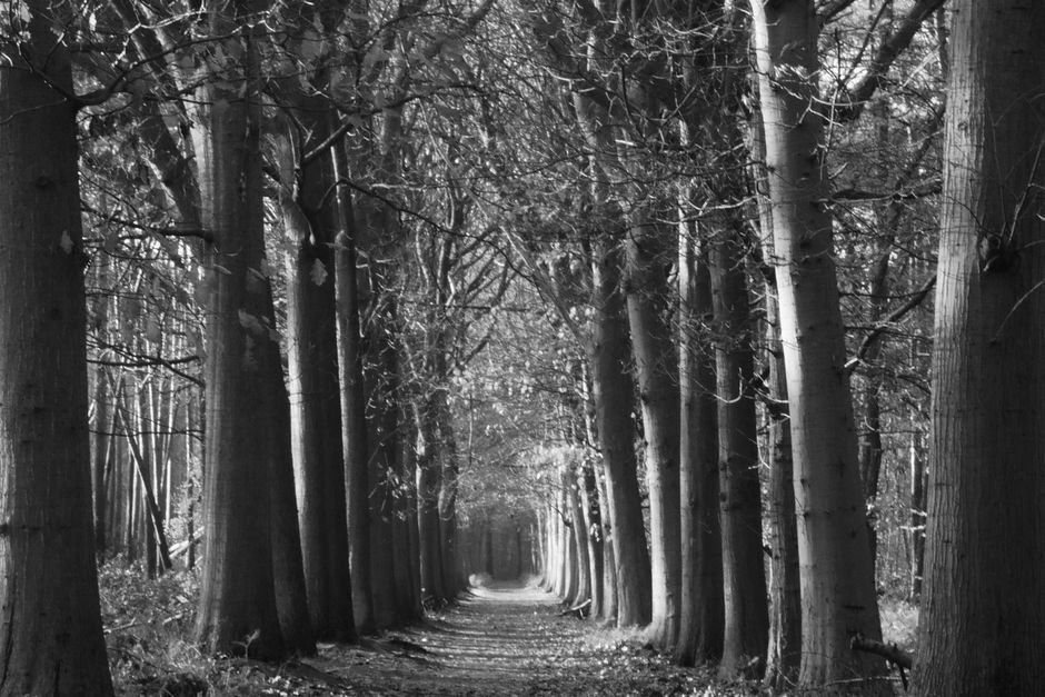 Holding On to Motivation, Discipline And Self-Compassion Over Time, Starting Today