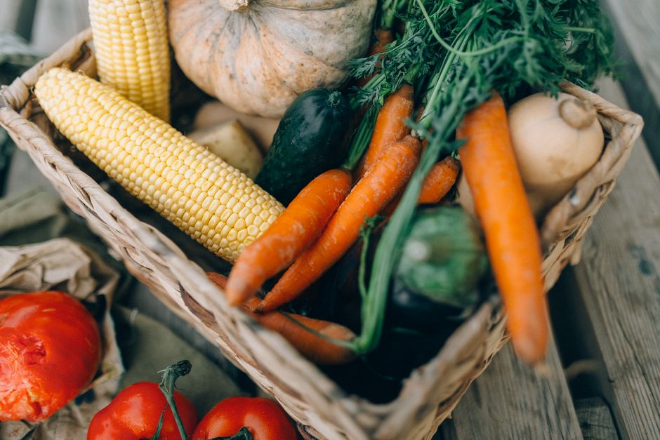 How to Stay Consistent With Health Through The Seasons, Without the Hype