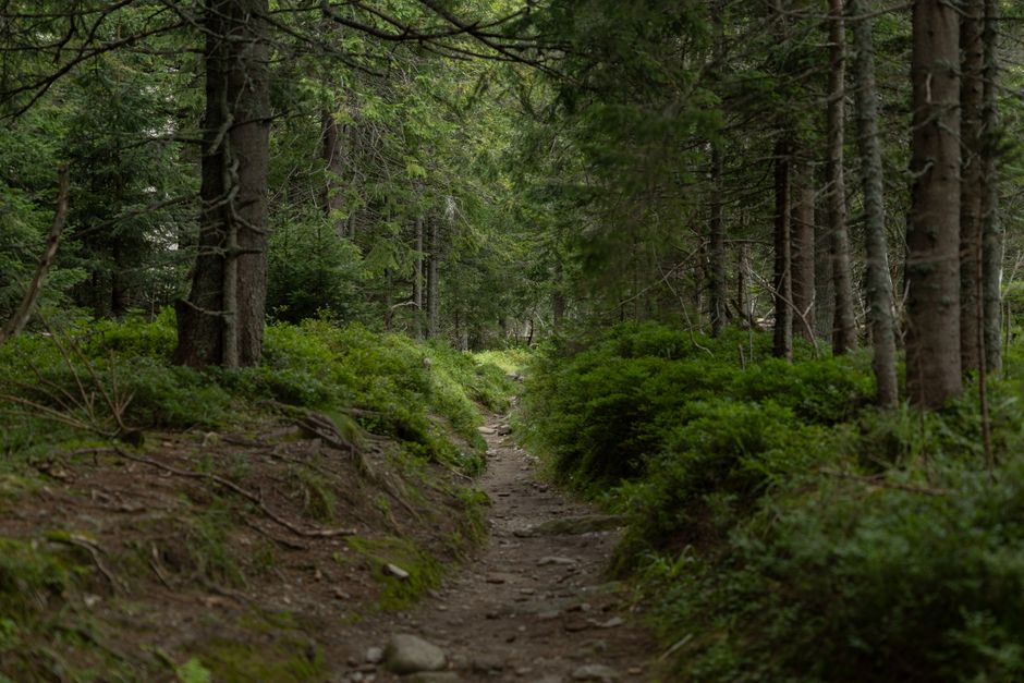 How to Stay Consistent With Motivation, Discipline And Self-Compassion, Without Overthinking It