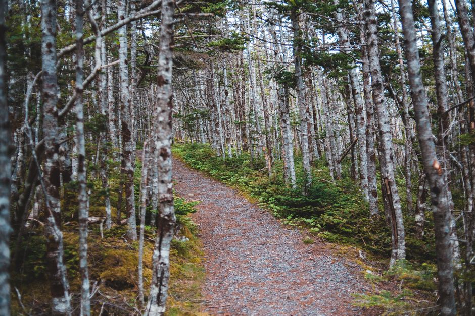 One Week of Focusing on The Connection Between Body And Mind, Minus the Overwhelm