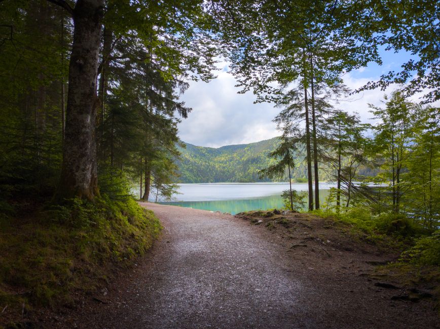 One Week of Focusing on The Social Side Of Well-Being, Made Simple