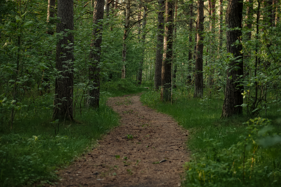 Rethinking Starting Again After A Setback, Starting Today