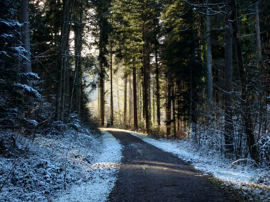Holding On to Small Lifestyle Changes That Matter Over Time, Minus the Overwhelm