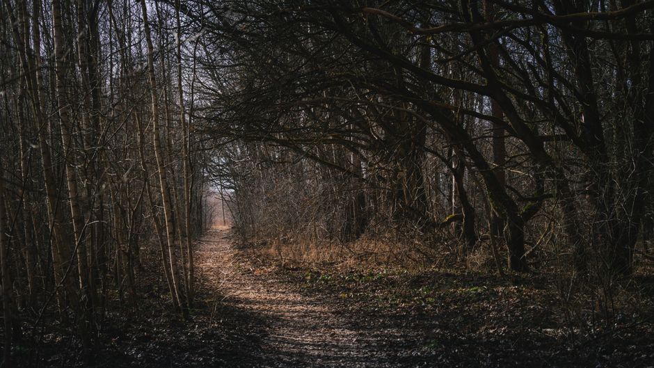 Starting Small With The Connection Between Body And Mind