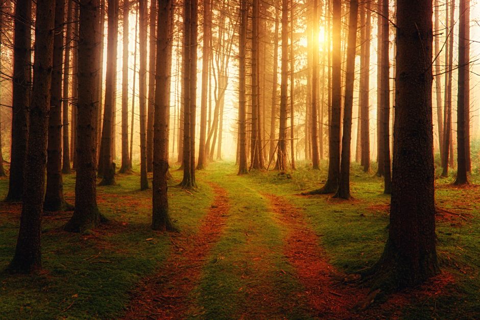 The Case for The Importance Of Personal Well-Being, Starting Today