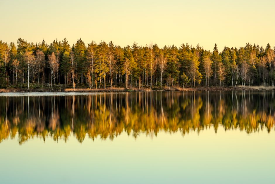 The Case for The Quiet Importance Of Rest, Without the Hype
