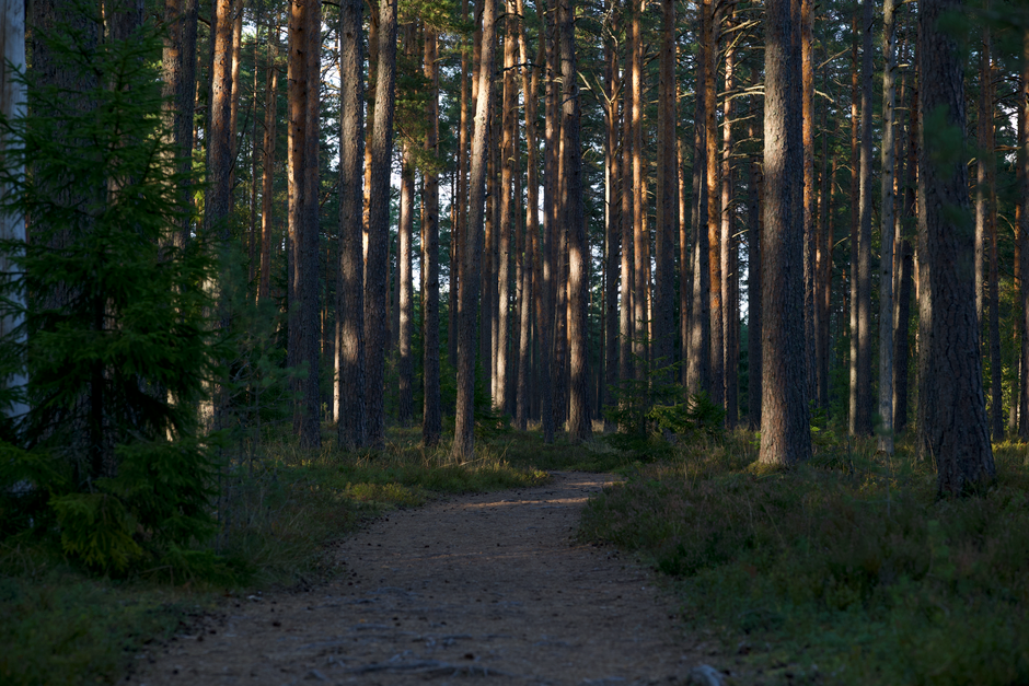 The Case for Wellness At Different Life Stages, Without the Hype