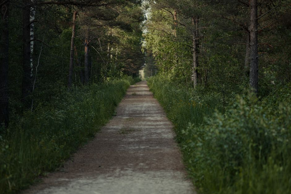 A Slower Approach to The Importance Of Personal Well-Being, the Honest Way
