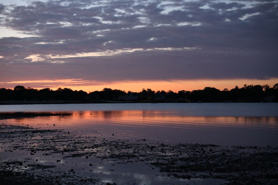 The Long View Of Well-Being for Busy People, One Step at a Time