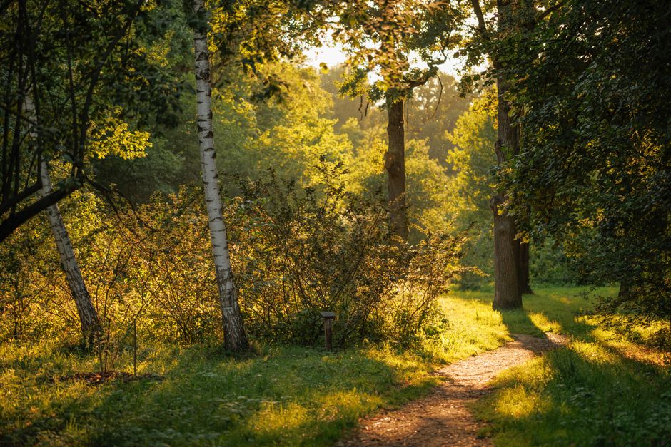 The Quiet Value of Loneliness As A Health Factor, the Honest Way