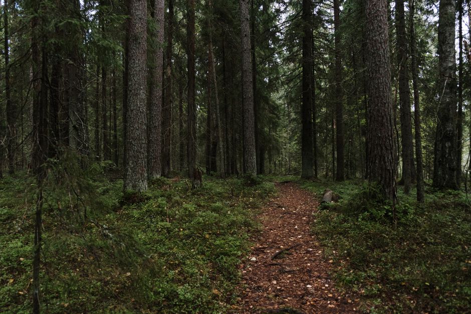 The Social Side Of Well-Being as a Daily Habit, One Step at a Time
