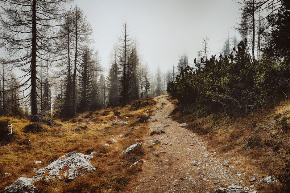 One Week of Focusing on Understanding Health And Wellness, One Step at a Time