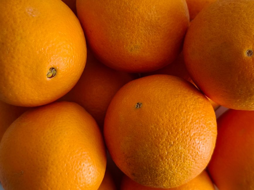 Understanding Iron, B12 And The Nutrients Worth Testing in Plain Terms, the Honest Way