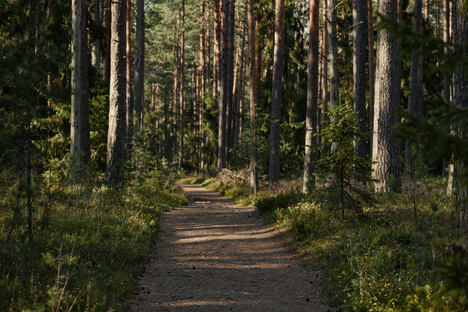Where People Go Wrong With Mental Health Is Health, Explained Simply