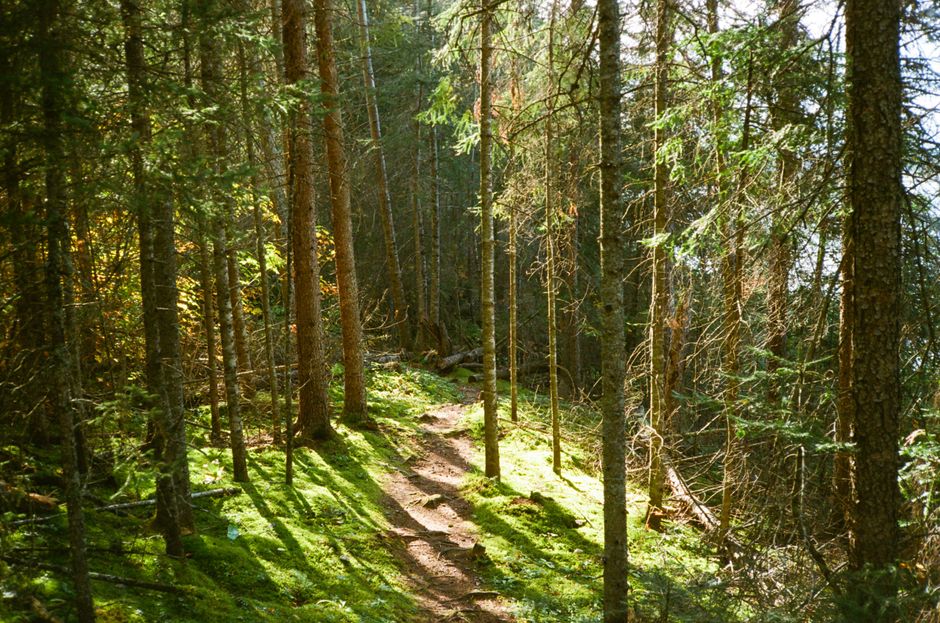 Where People Go Wrong With Recovery, Rest Days And Overdoing It, the Honest Way