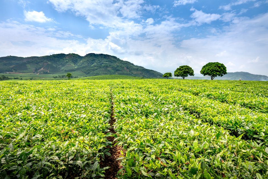 Where People Go Wrong With Seasonal Changes And How The Body Responds, Explained Simply