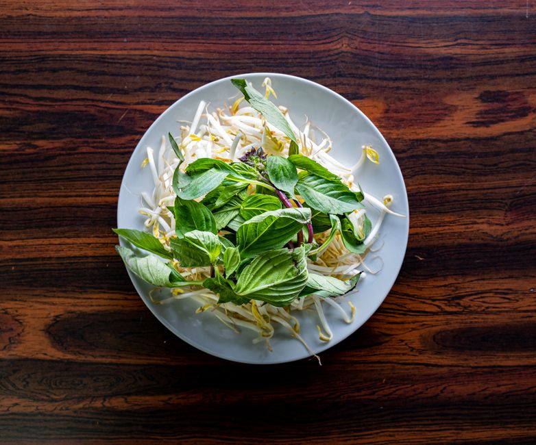 Why Metabolism: What It Is And What It Is Not Is Worth Your Attention, Without the Hype